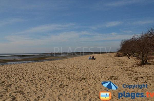Studio Apartment Audenge Bagian luar foto